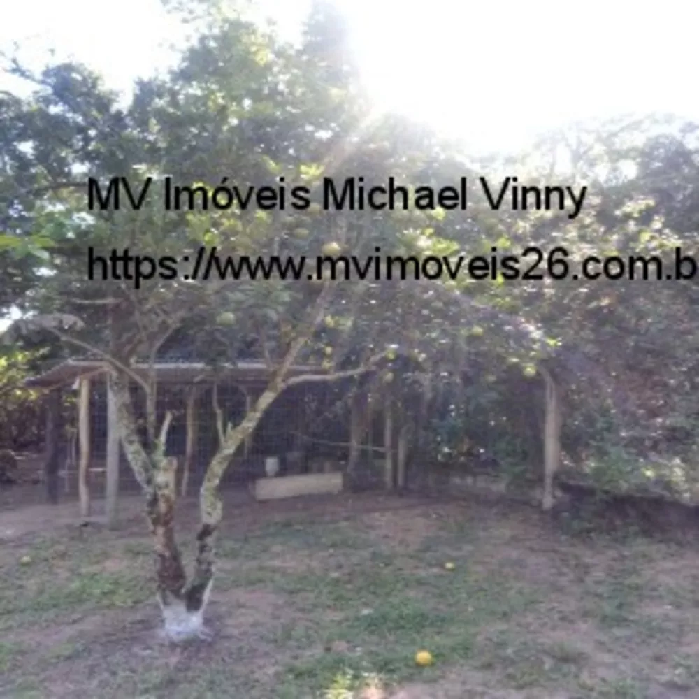 Sítio, 2 quartos - Foto 35