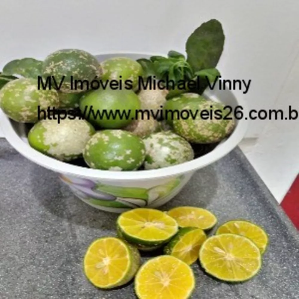 Sítio, 2 quartos - Foto 11