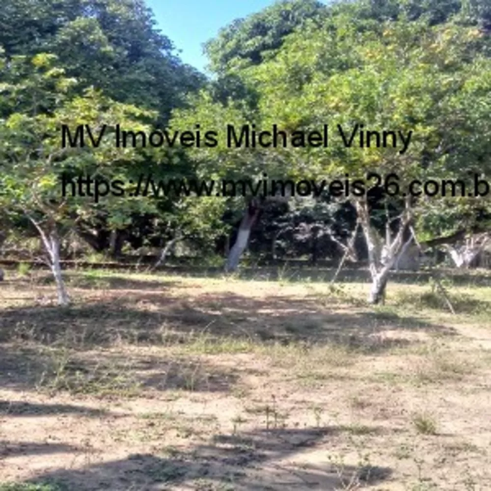 Sítio, 2 quartos - Foto 46