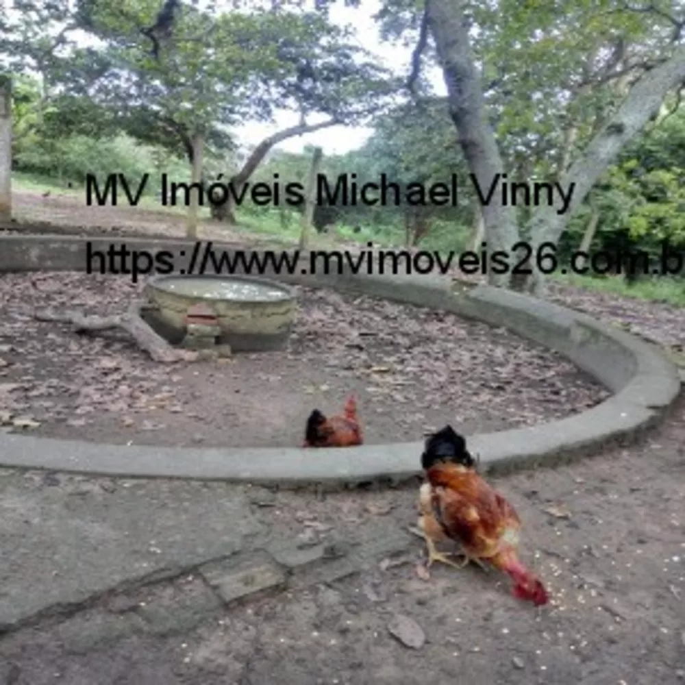 Sítio, 2 quartos - Foto 17