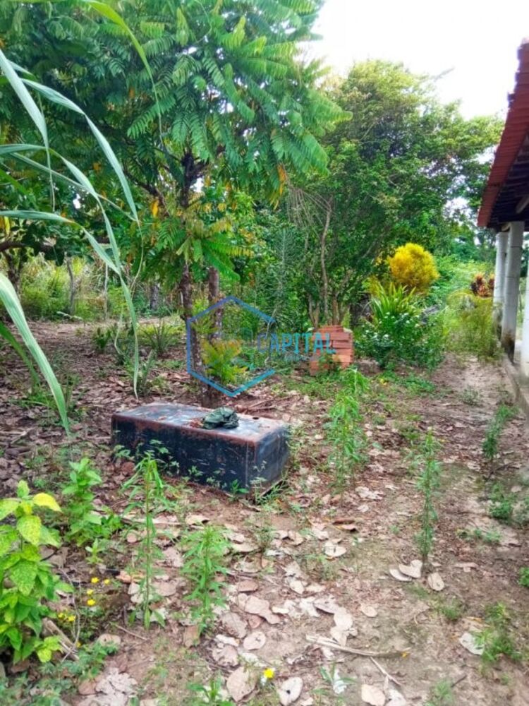 Fazenda, 2178 m² - Foto 3