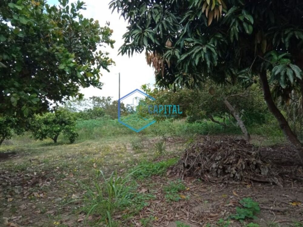 Fazenda, 2178 m² - Foto 2