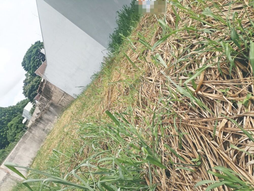 Terreno, 280 m² - Foto 1