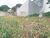 Terreno, 280 m² - Foto 2