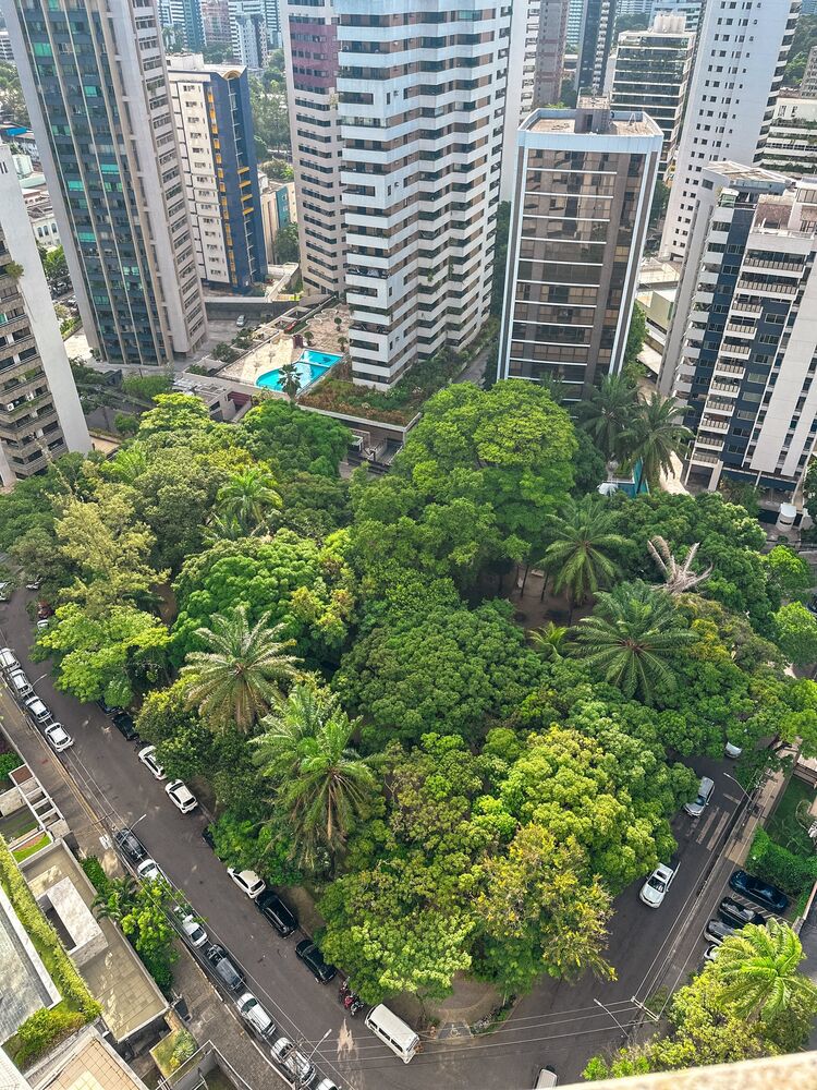 Apartamento, 4 quartos, 335 m² - Foto 11