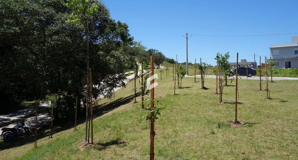 Terreno, 300 m² - Foto 4