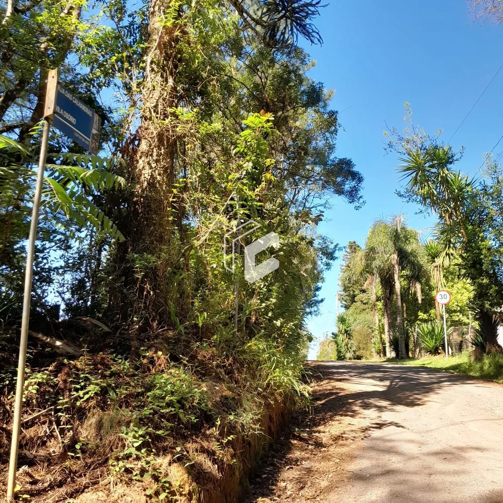 Terreno, 432 m² - Foto 4