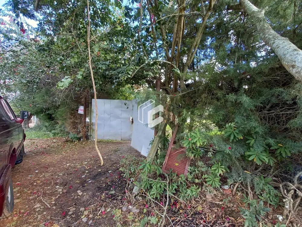 Terreno, 1000 m² - Foto 1