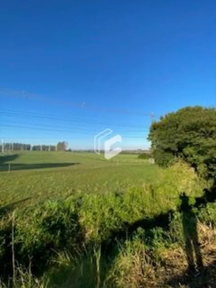 Loteamento e Condomínio, 126000 hectares - Foto 1