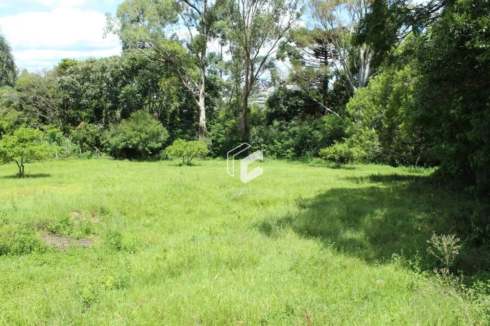 Terreno, 62246 hectares - Foto 2