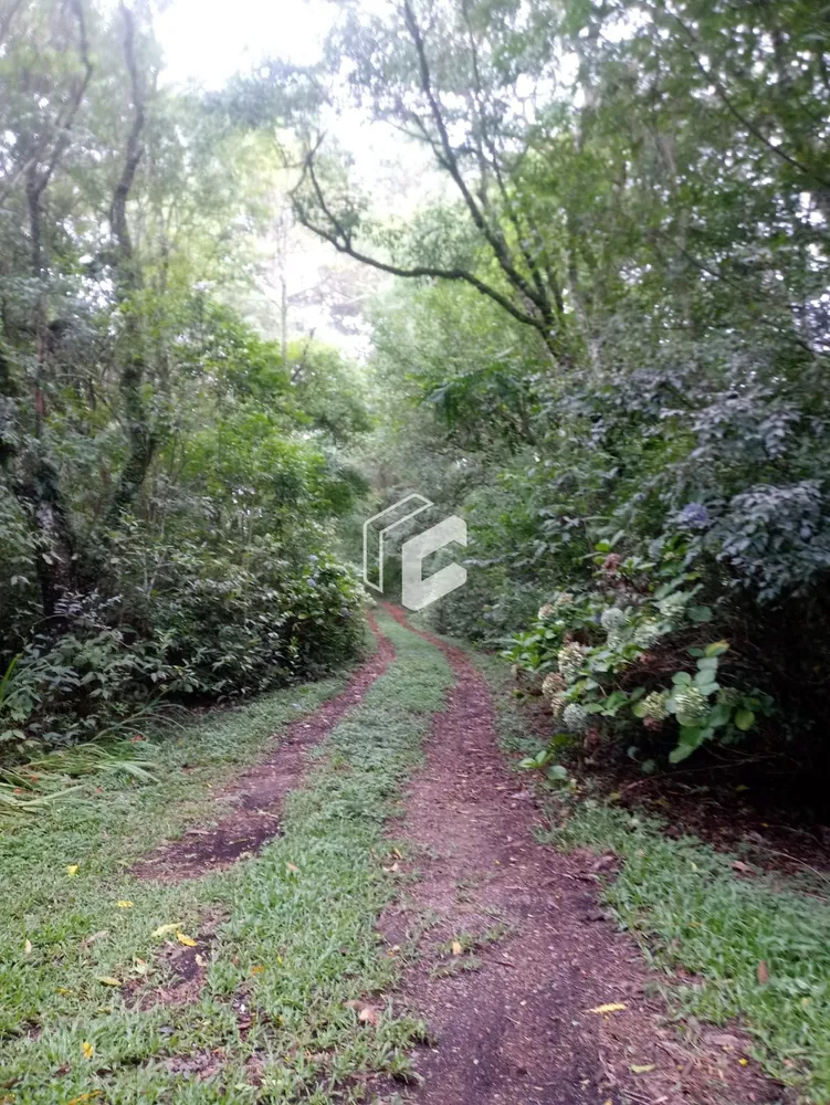 Chácara, 2 quartos, 10000 hectares - Foto 1