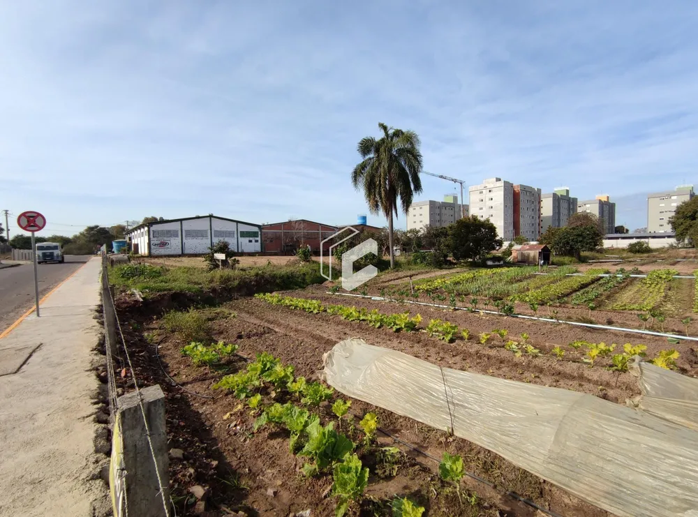 Terreno, 1 hectares - Foto 4