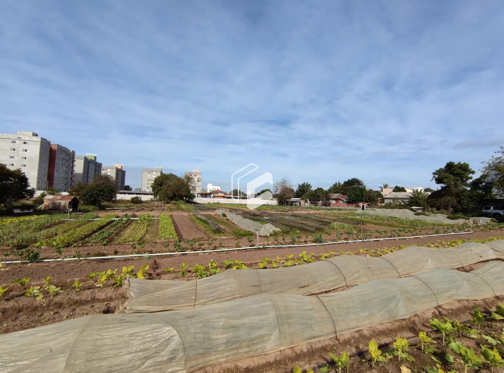 Terreno, 1 hectares - Foto 3