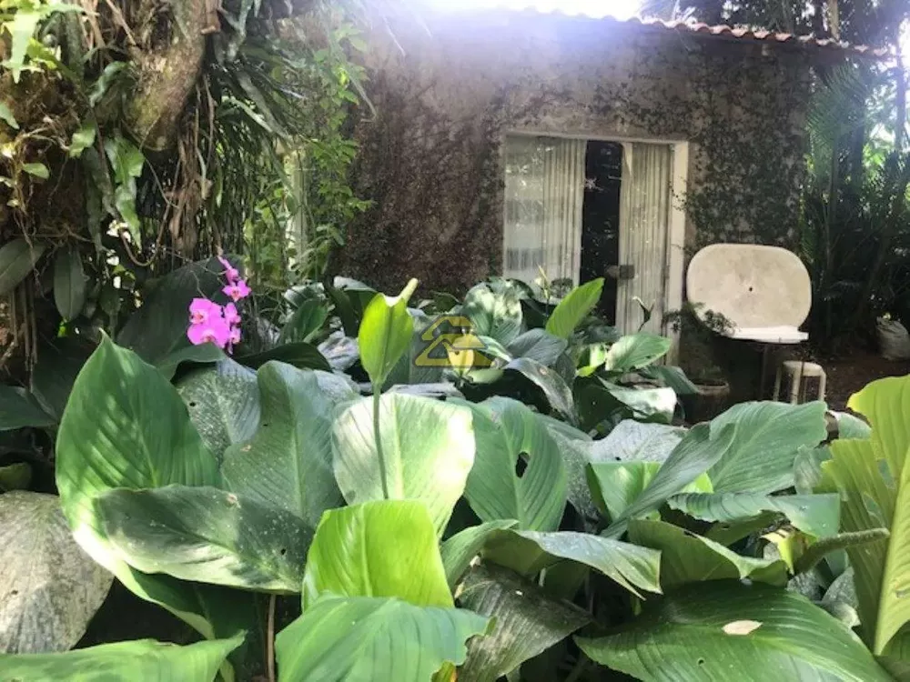 Casa, 5 quartos, 273 m² - Foto 9