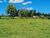 Fazenda, 249 hectares - Foto 3