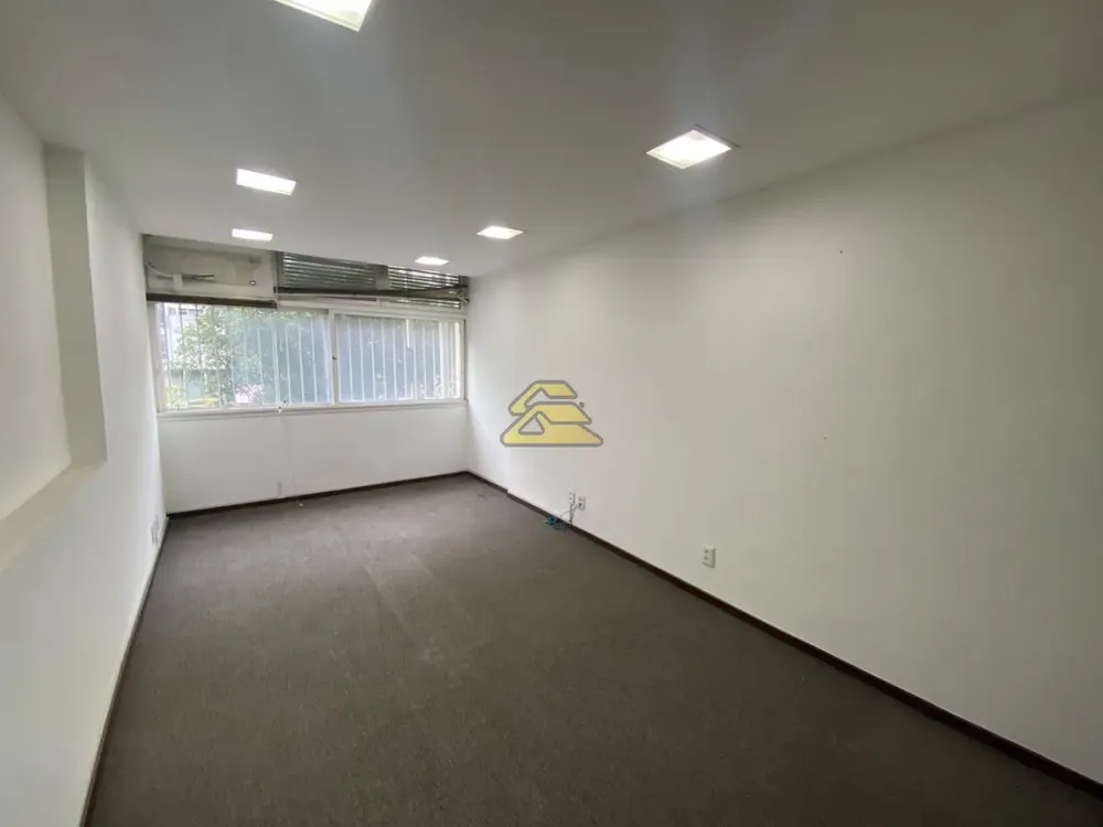 Sala-Conjunto, 556 m² - Foto 3