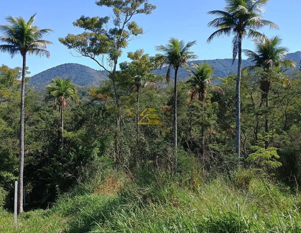 Sítio, 6007 m² - Foto 12