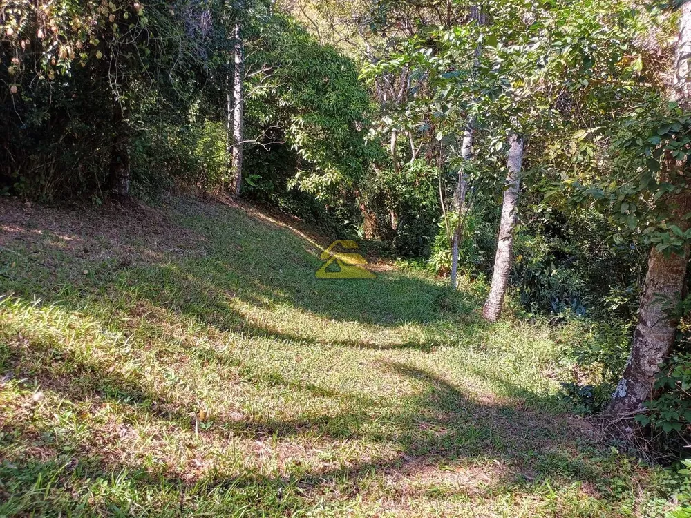 Sítio, 6007 m² - Foto 10