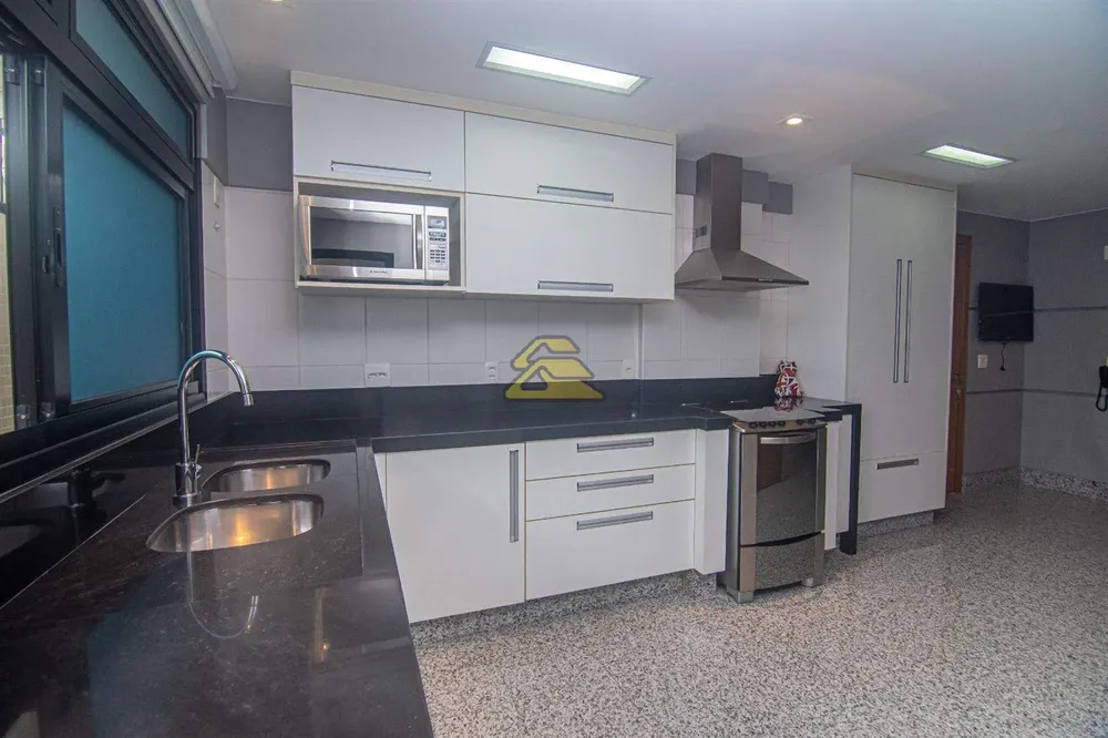 Apartamento, 3 quartos, 250 m² - Foto 33