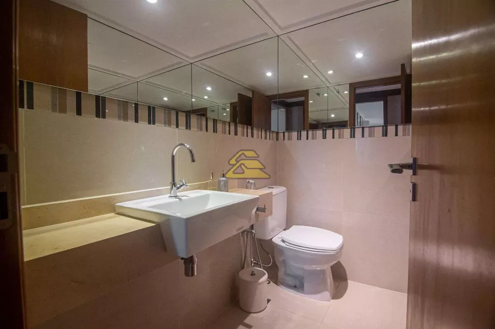 Apartamento, 3 quartos, 250 m² - Foto 19