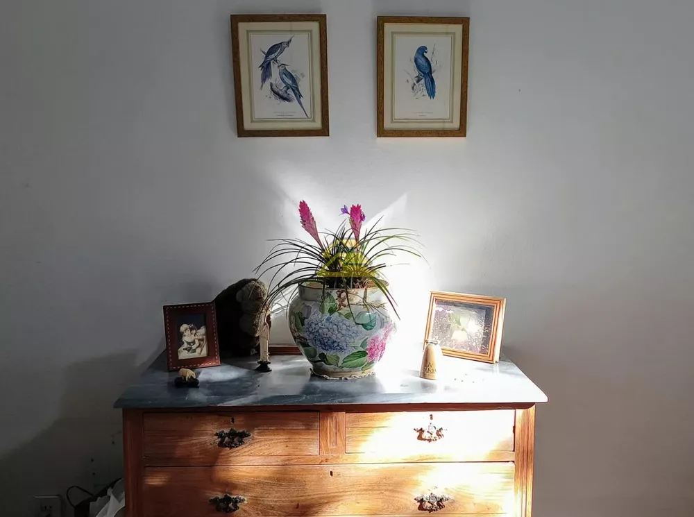 Casa, 4 quartos, 109 m² - Foto 13