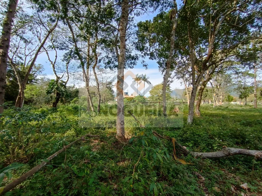 Terreno, 2 hectares - Foto 17