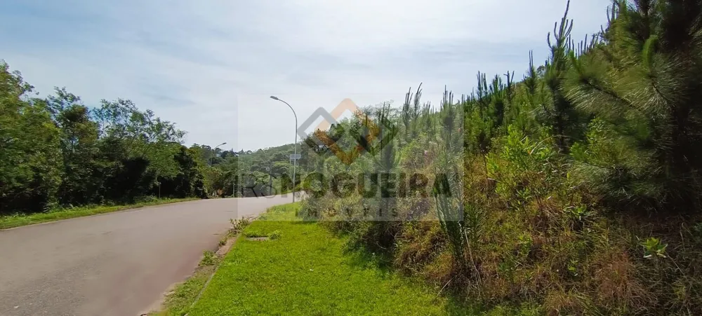 Terreno, 459 m² - Foto 7