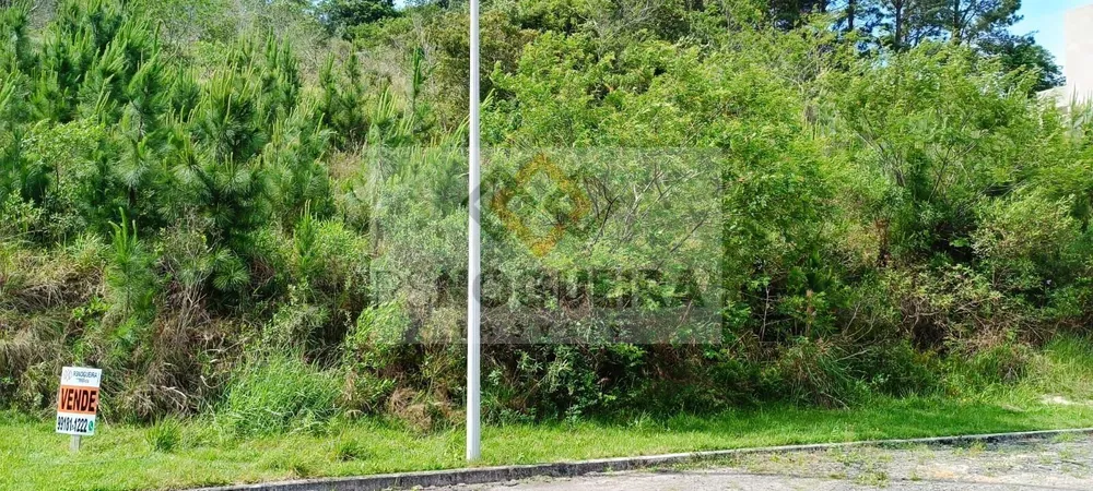 Terreno, 459 m² - Foto 9