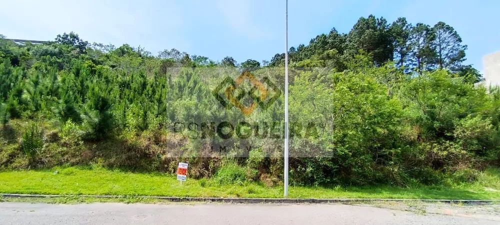 Terreno, 459 m² - Foto 1
