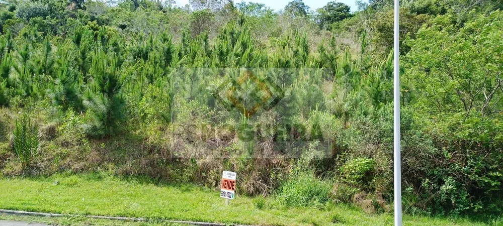 Terreno, 459 m² - Foto 15