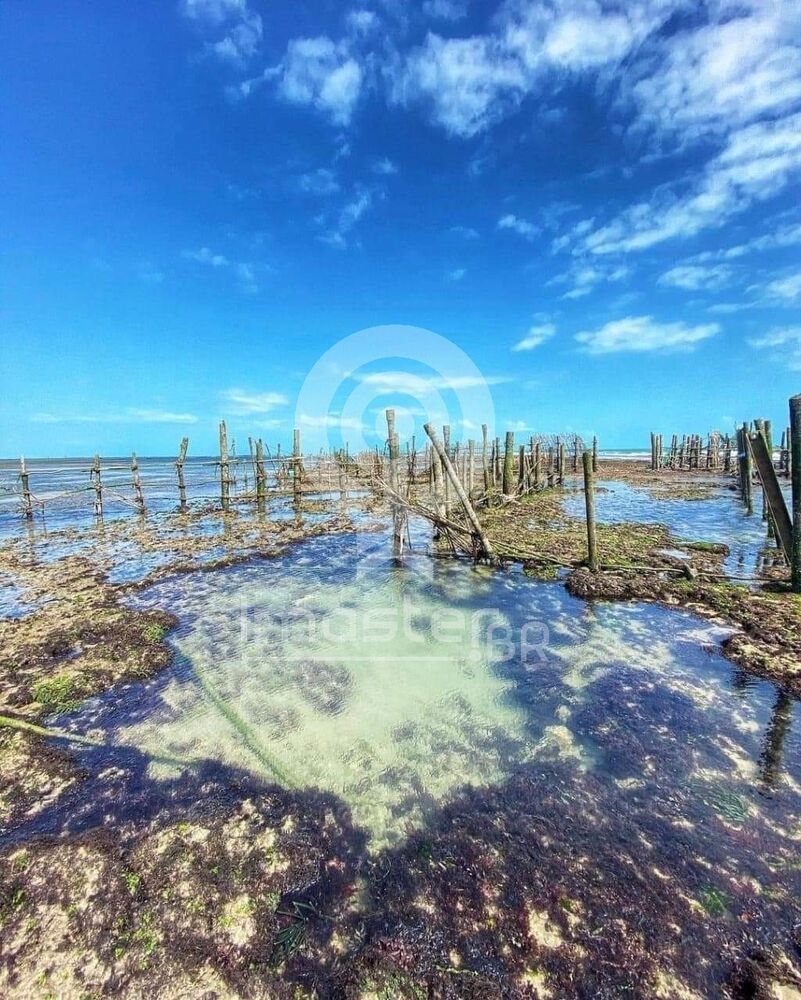 Terreno, 225 m² - Foto 39