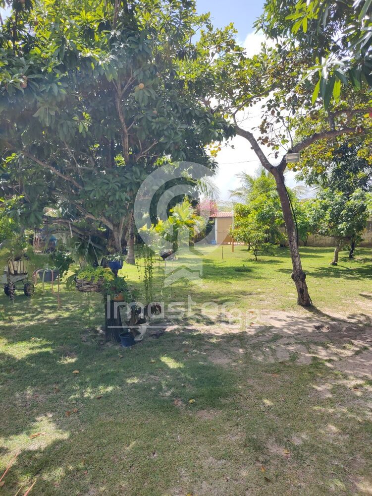 Sítio, 4 quartos, 1200 m² - Foto 7