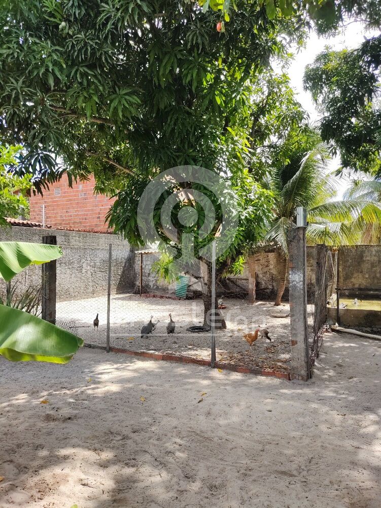 Sítio, 4 quartos, 1200 m² - Foto 8