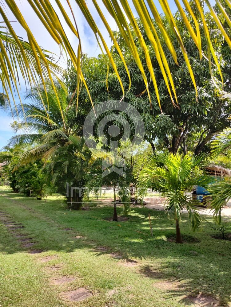 Sítio, 4 quartos, 1200 m² - Foto 1