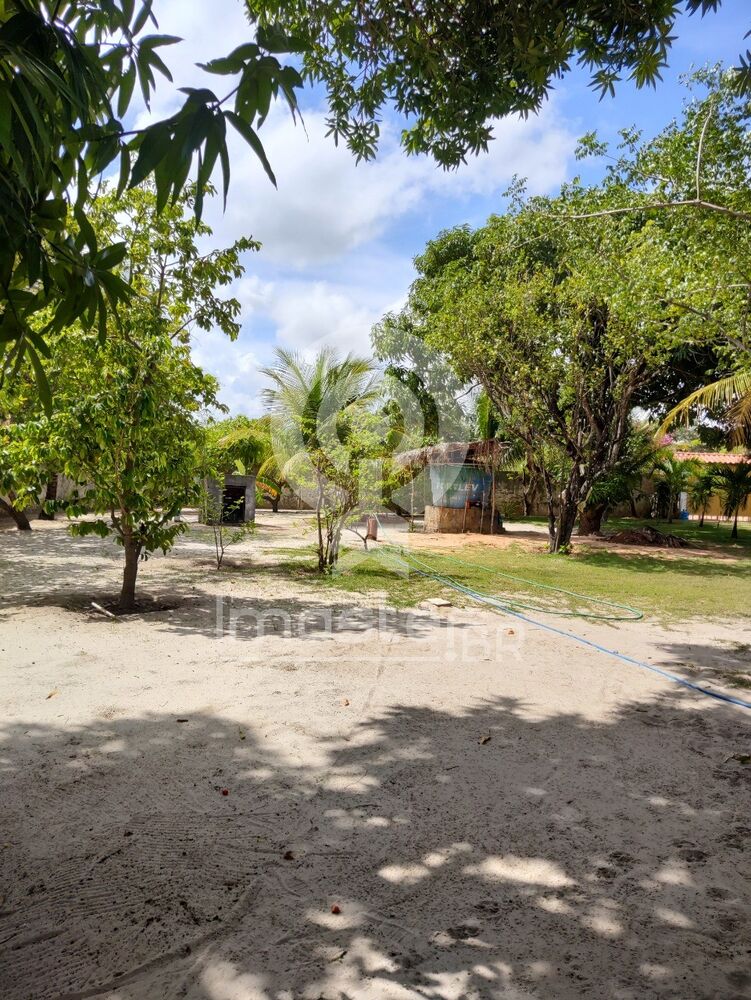 Sítio, 4 quartos, 1200 m² - Foto 3