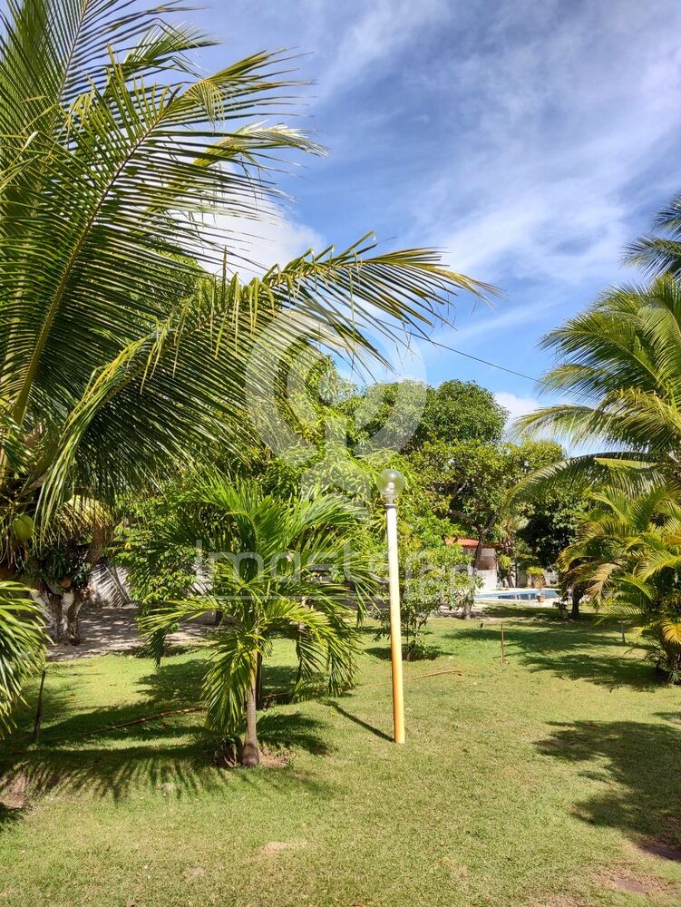 Sítio, 4 quartos, 1200 m² - Foto 2