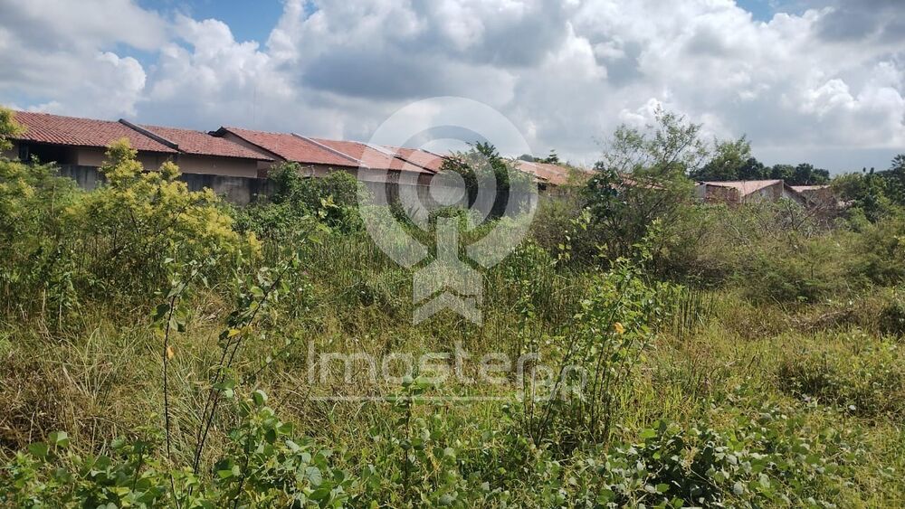 Terreno, 2250 m² - Foto 3