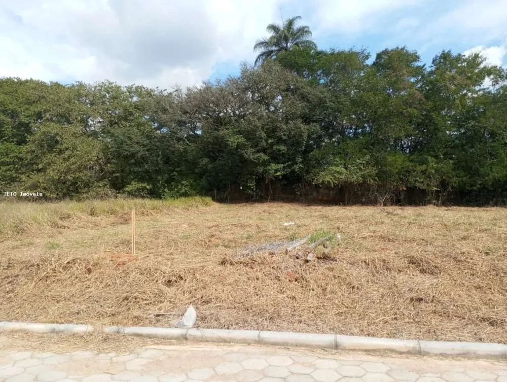 Terreno, 317 m² - Foto 3