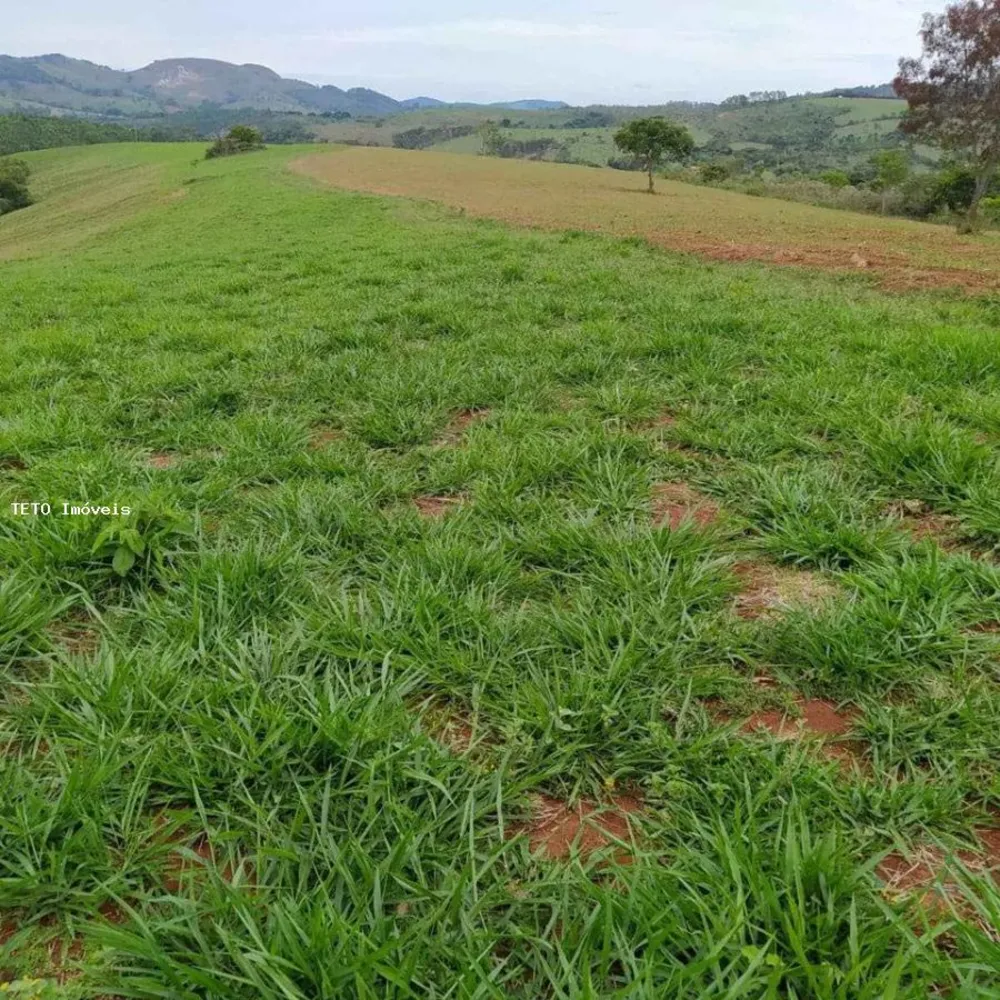 Fazenda, 40 m² - Foto 2