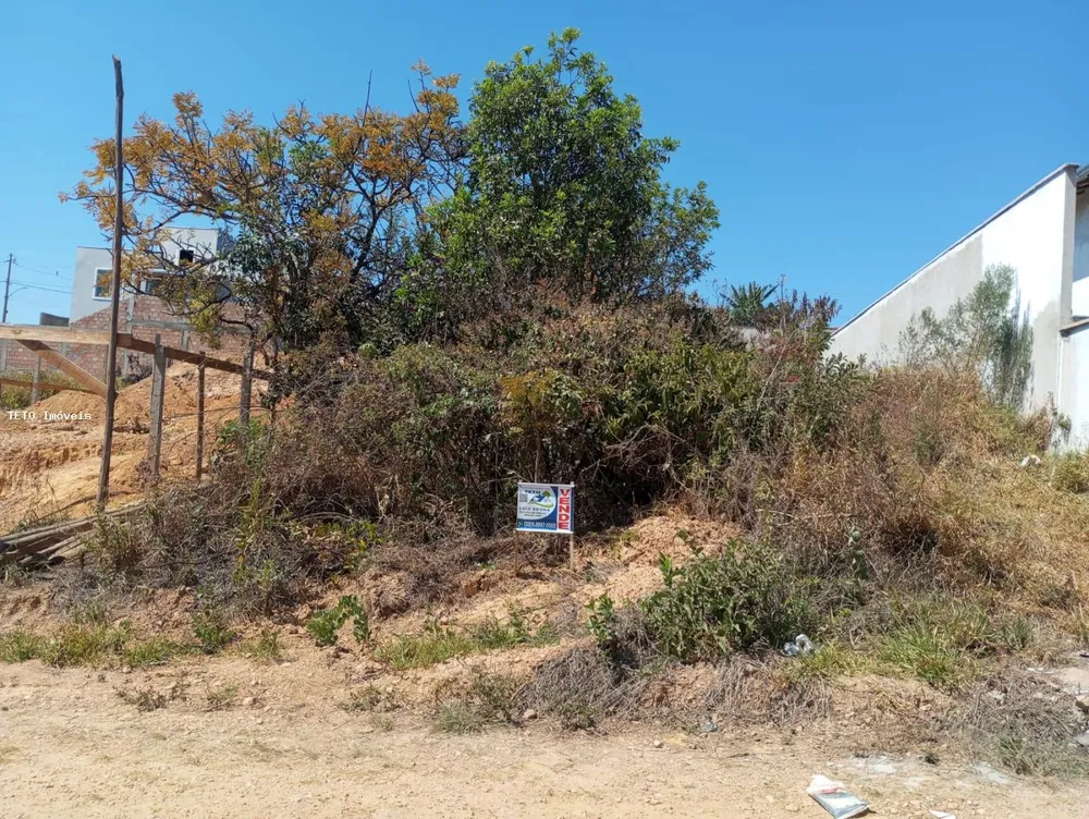 Terreno, 300 m² - Foto 4
