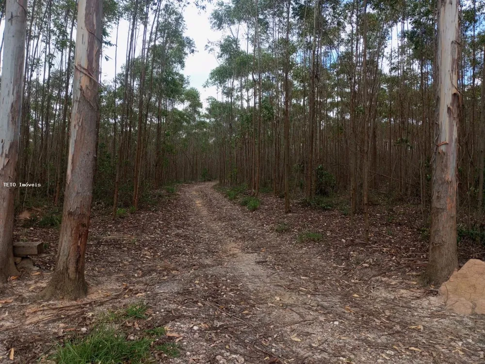 Fazenda, 160 m² - Foto 2