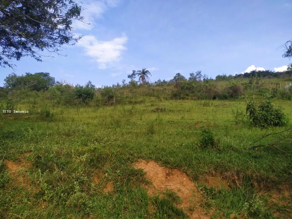 Terreno, 5000 m² - Foto 4