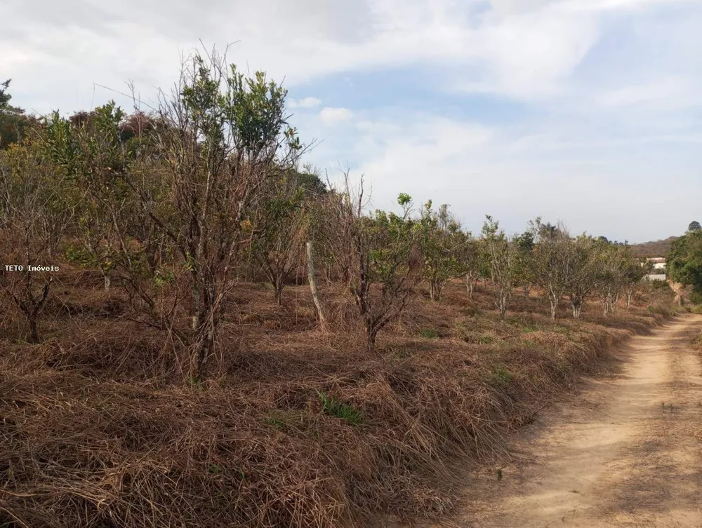 Terreno, 1400 m² - Foto 4