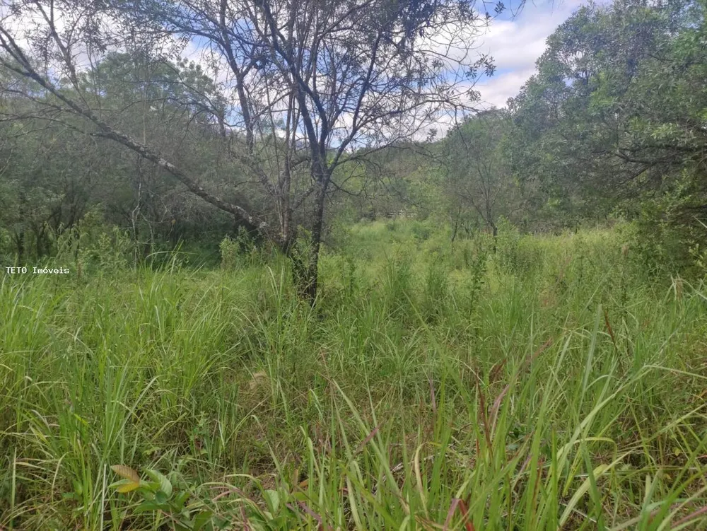 Terreno, 3000 m² - Foto 2