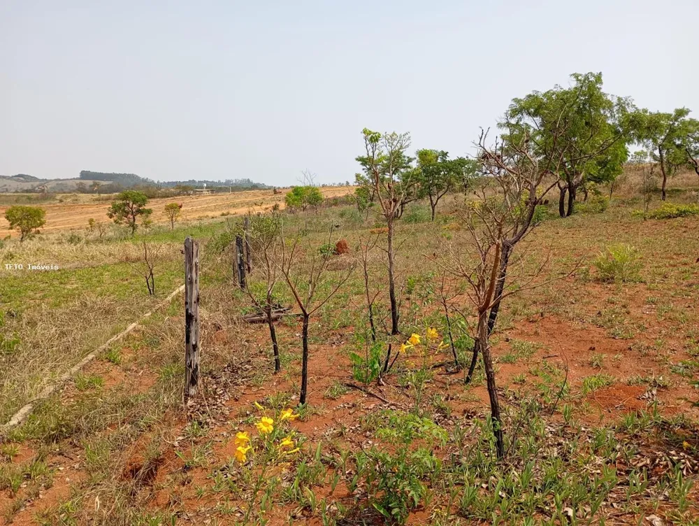 Terreno, 1000 m² - Foto 4