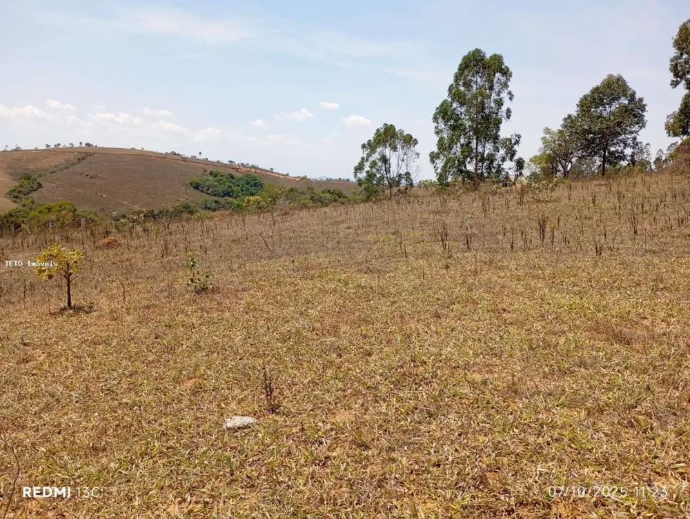 Terreno, 5000 m² - Foto 4