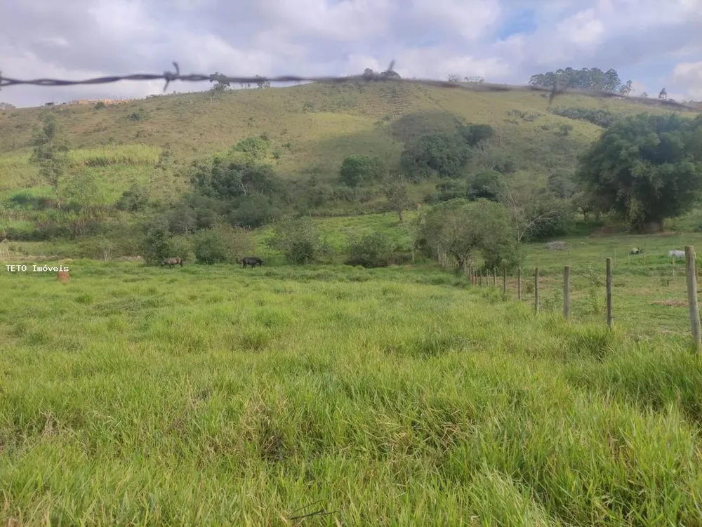 Terreno, 8000 m² - Foto 1