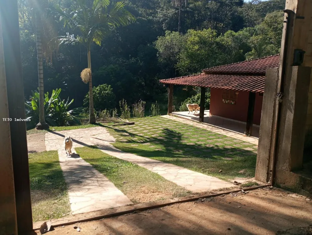 Fazenda, 5000 m² - Foto 3