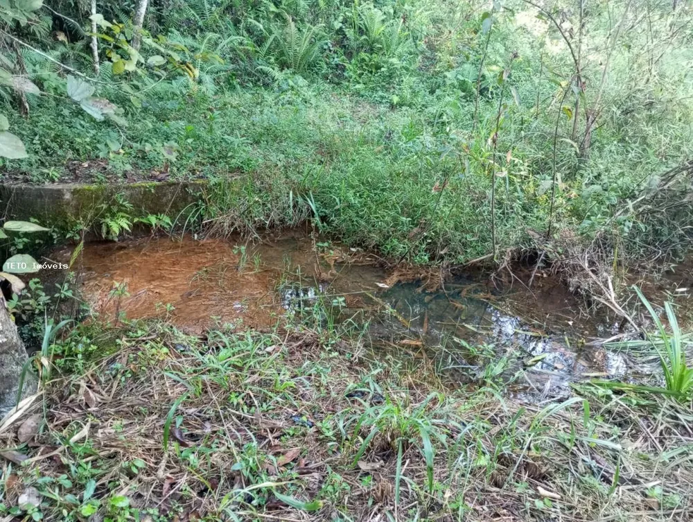 Fazenda, 5000 m² - Foto 4