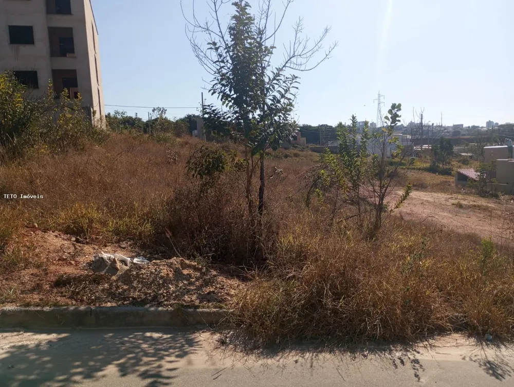 Terreno - Foto 2